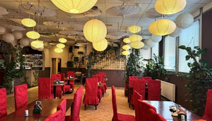 Cinska Restaurace Picasso Od Vlastnika - Tř. Václava Klementa 1223