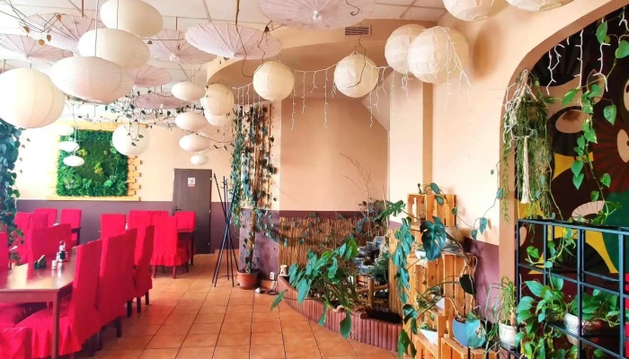 Cinska Restaurace Picasso Tř Vaclava Klementa 1223 - Tř. Václava Klementa 1223