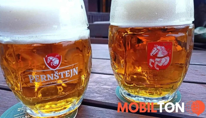 Cunci Huba   U Derneru Pivo - Kytín-mníšek Pod Brdy