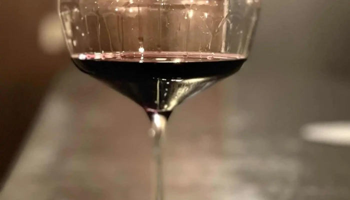 Czech Slovak Restaurant -  Vino - Malá Strana