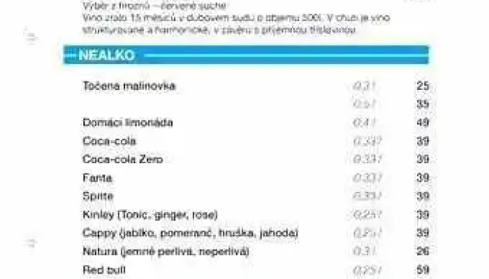 Delivery Pizza -  Od Vlastnika - Nábř. Dr. Beneše 2354