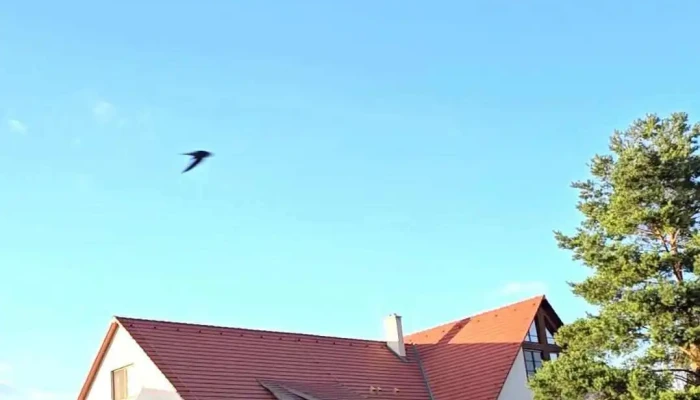 Dvur Perlova Voda Exterier - Budyně Nad Ohří-roudnice Nad Labem