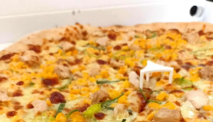 Eso Pizza Kebab -  Oteviraci Doba - Palackého Tř. 43/2