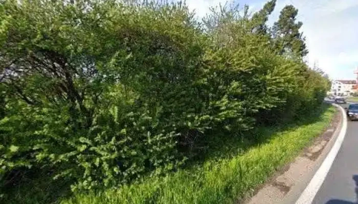 Fastfood -    Beno Street View A 360deg - Říčanská 1818