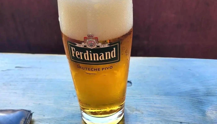 Formanka U Zeleneho Stromu -  Jidlo A Piti - Malé Nám. 1783
