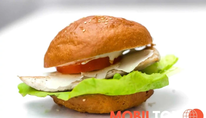 Fresh Burger -  Od Vlastnika - Kleinerova 1471