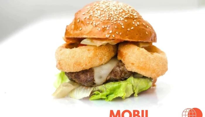 Fresh Burger -  Vse - Kleinerova 1471
