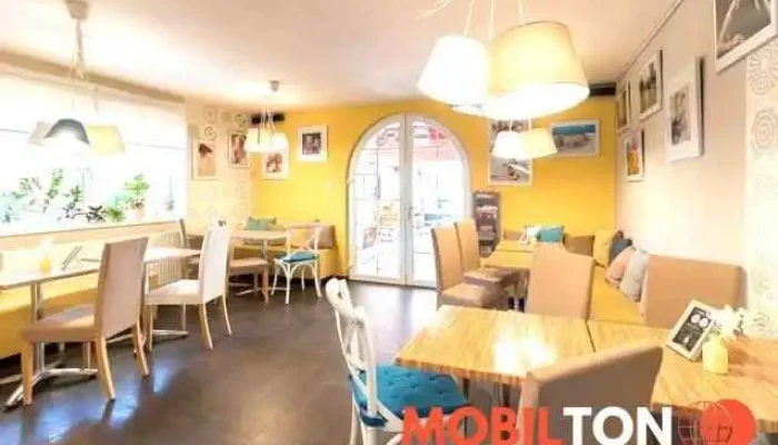 Galerie Cafe Vse - Masarykova 2023