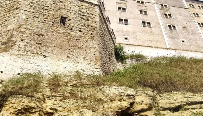 Graal Ve Skale Videa - Ptácká 314