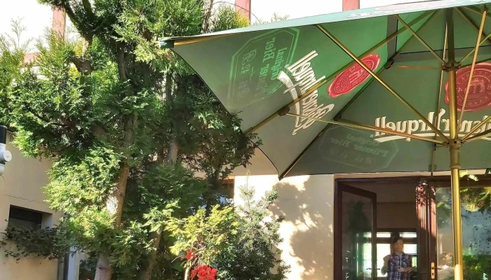 Hado Restaurant -  Otevřeno Nyni - Vašatova 1459