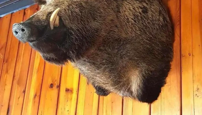Hajenka Kersko Od Vlastnika - Hradištko