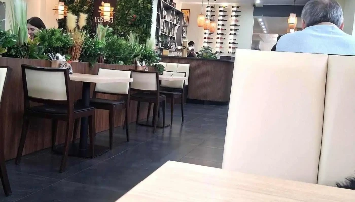 Hasaka Restaurace -  Nejnovejsi - Nová 209/13 276 01