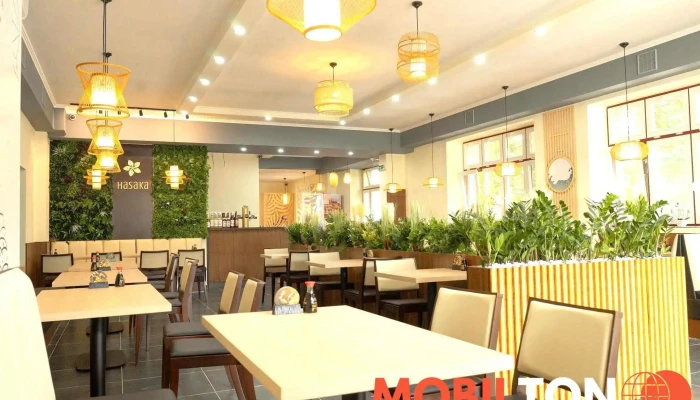 Hasaka Restaurace -  Vse - Nová 209/13 276 01