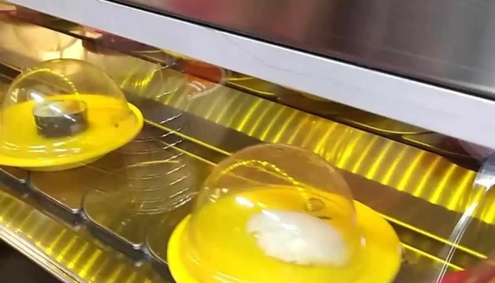 Hokkaido Sushi Bar -  Videa - Petra Bezruče