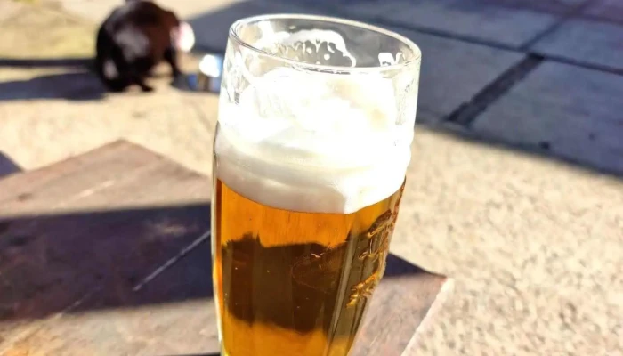 Hospoda Grado -  Pivo - Káraný