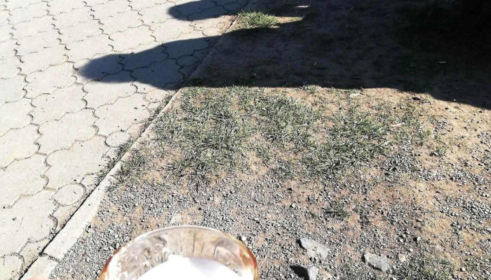 Hospoda Na Dilech Pivo - Valašská Bystřice