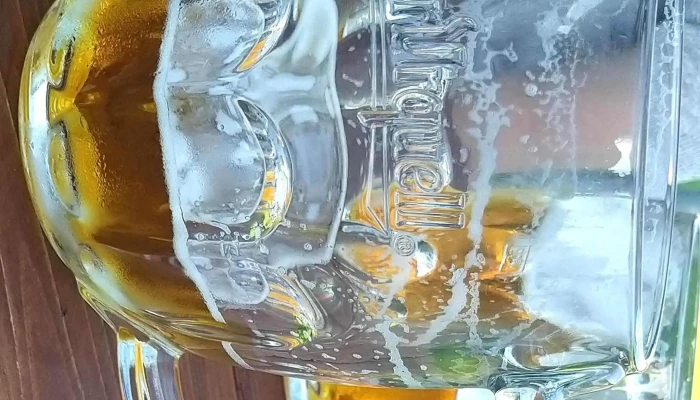 Hospoda Na Hristi Restaurace - U Hřiště