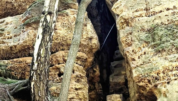 Hospudka Bouda - Dobřeň-Liběchov