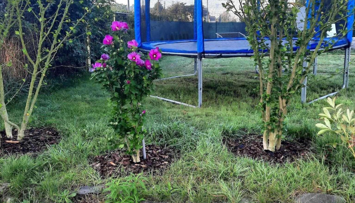 Hospudka Na Statku Od Vlastnika - Vítězství