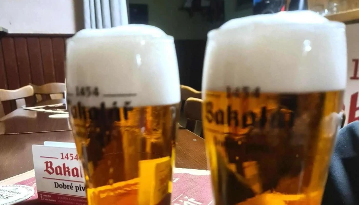 Hospudka U Brejchu V Halka 227 - V. Hálka 227