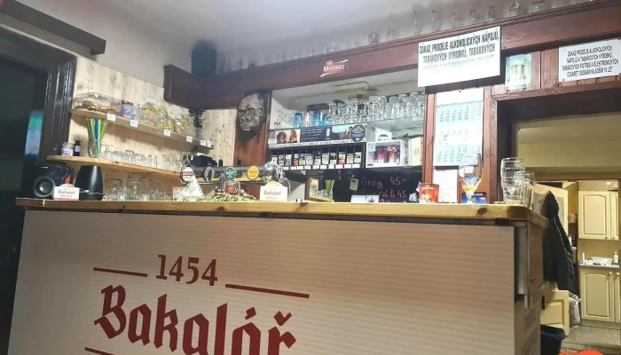 Hospudka U Brejchu Vzhled A Atmosfera - V. Hálka 227