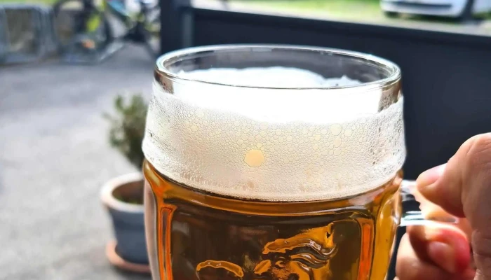 Hospudka U Richtru Družstevni 461 - Družstevní 461