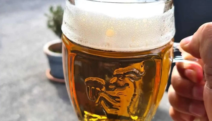 Hospudka U Richtru Jidlo A Piti - Družstevní 461