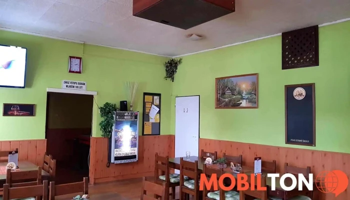 Hostinec Na Kopecku Vzhled A Atmosfera - Riegrova 120