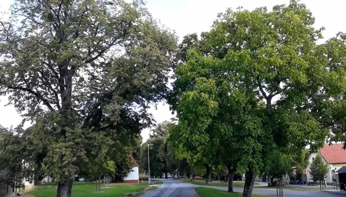 Hostinec U Barchanku Adresa - Mořinka