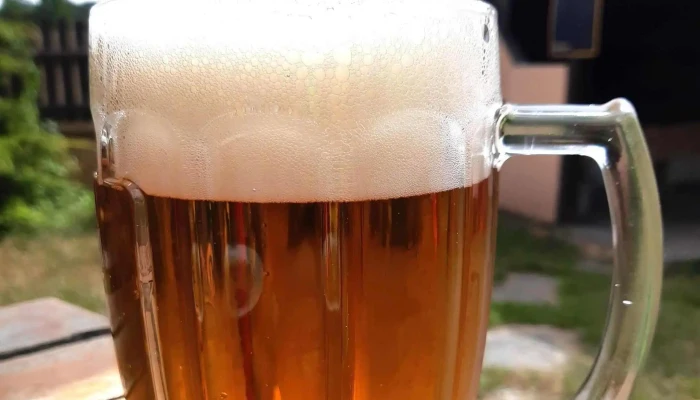 Hostinec U Burivalu Blizko Mě - Pivovarská 125