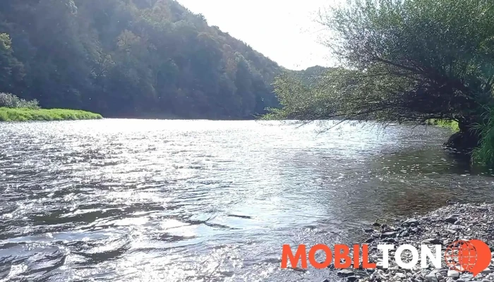 Hostinec U Rozvedcika Videa - Nezabudice