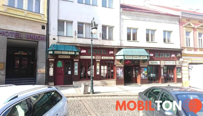 Hotel Cerny Kun Exterier - Beneše Z Loun 140-141