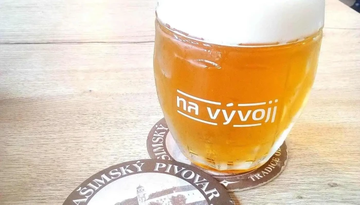 Hotel Na Vyvoji Vlasim Jidlo A Piti - Havlíčkova 1135