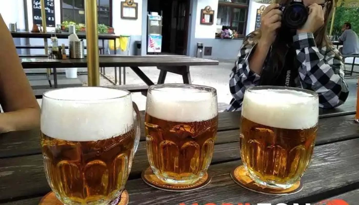 Hotel Restaurace Praha -  Od Vlastnika - Vyžlovka-kostelec Nad Černými Lesy