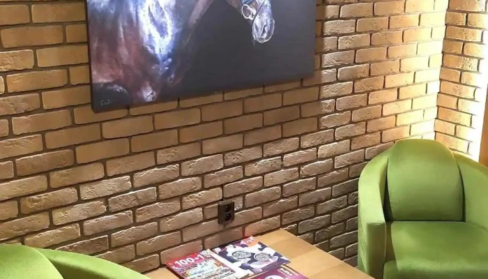 Hotel U Kone Pokoje - Česká 176/11