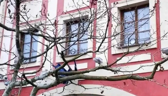 Hotel Zlaty Kohout Nejnovejsi - Železná 31