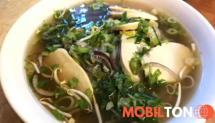 Ichiba Restaurant Vietnam A Japanese -  Pho - I. Olbrachta 70