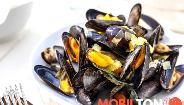 Istra Restaurant -  Jidlo A Piti - Slapská 130