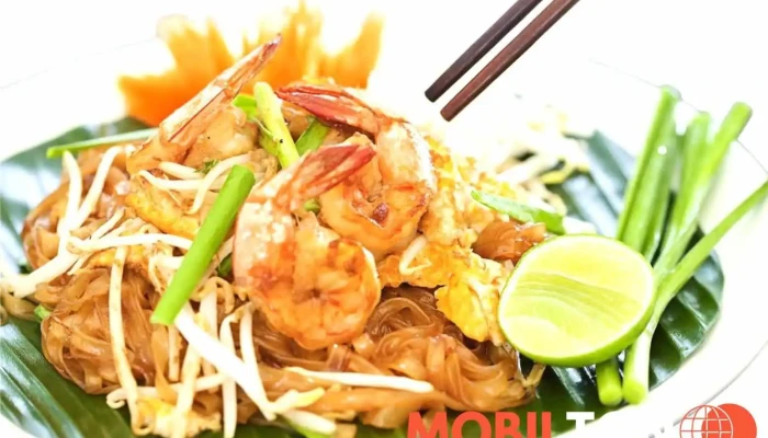 Kachin Wp -  Pad Thai - Havlíčkova 2198