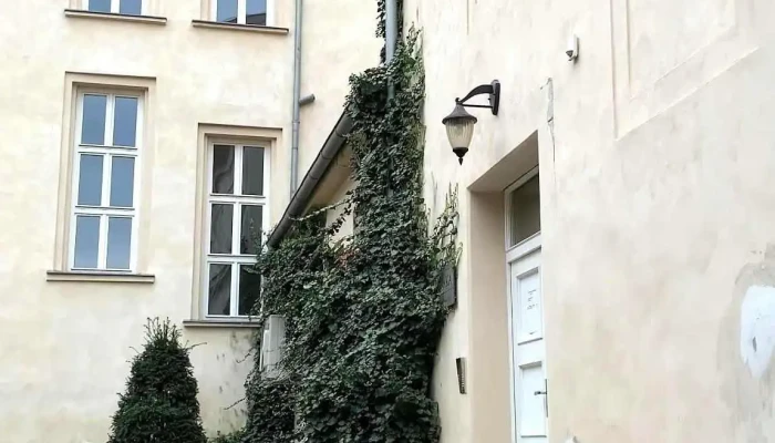 Kafe Doma -  Videa - Město