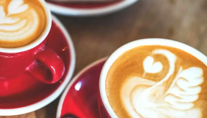 Kafe Melnik Cappuccino - Krombholcova 3474