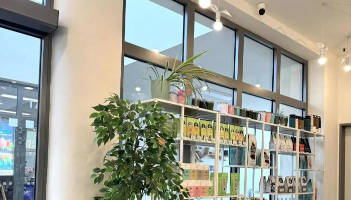 Kafe Stanek Kavarna A Bar - Ostrovní 465