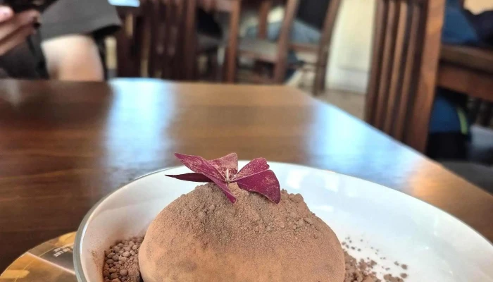 Kancl Bistro Burger Webova Stranka - Husovo Nám. 45