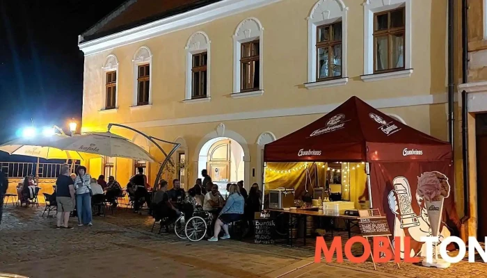 Kavarna Alkafe Od Vlastnika - Helfertova 133