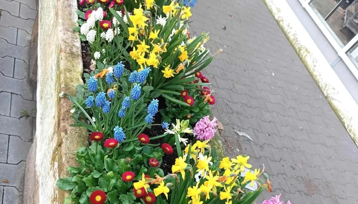 Kavarna Jina Zahrada Blizko Mě - Ústecká 724