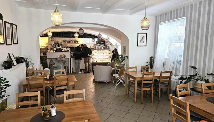 Kavarna U Janicky Vzhled A Atmosfera - Husova 145