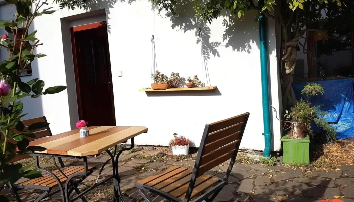 Kavarna U Madony Vzhled A Atmosfera - Suvorovova 58