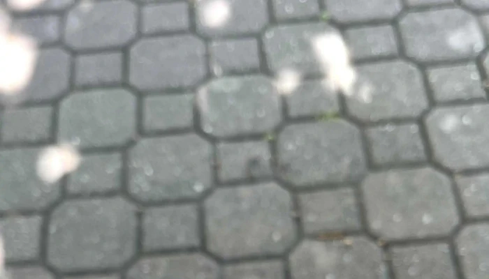 Kebab 4 You Nove Straseci čsl Armady 208 - Čsl. Armády 208