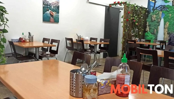 Khanh Bao Restaurace Vzhled A Atmosfera - Havlíčkova 134