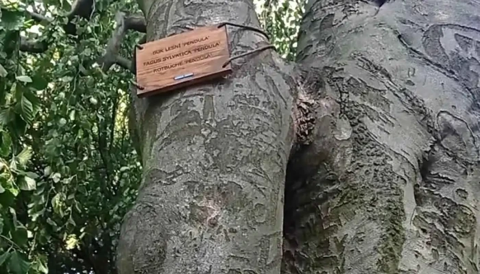 Klasterec Nad Ohri Videa - Klášterec Nad Ohří